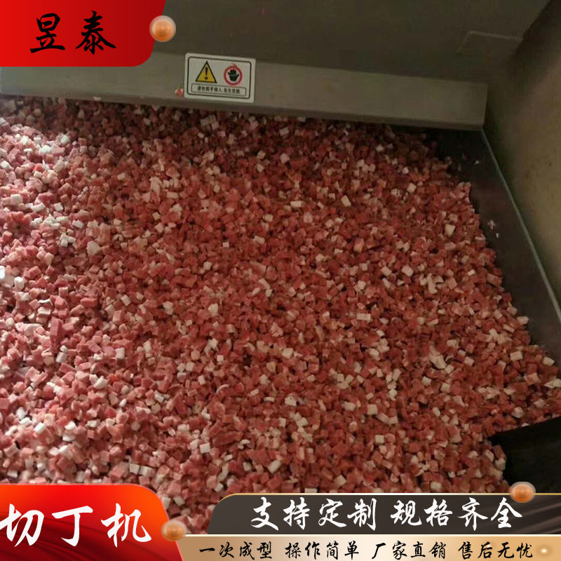 肉粒肠原料切丁机 多功能腊肉制品切丁设备 鲜肉冻肉切丁机