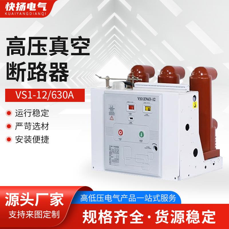 户内高压真空断路器VS1 12kv10kv GN19隔离固定式 630A-25 GN30