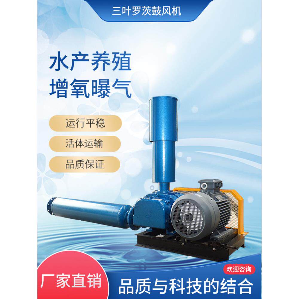 罗茨风机 多用途 鱼塘养殖 污水处理 浮选机配套罗茨鼓风机
