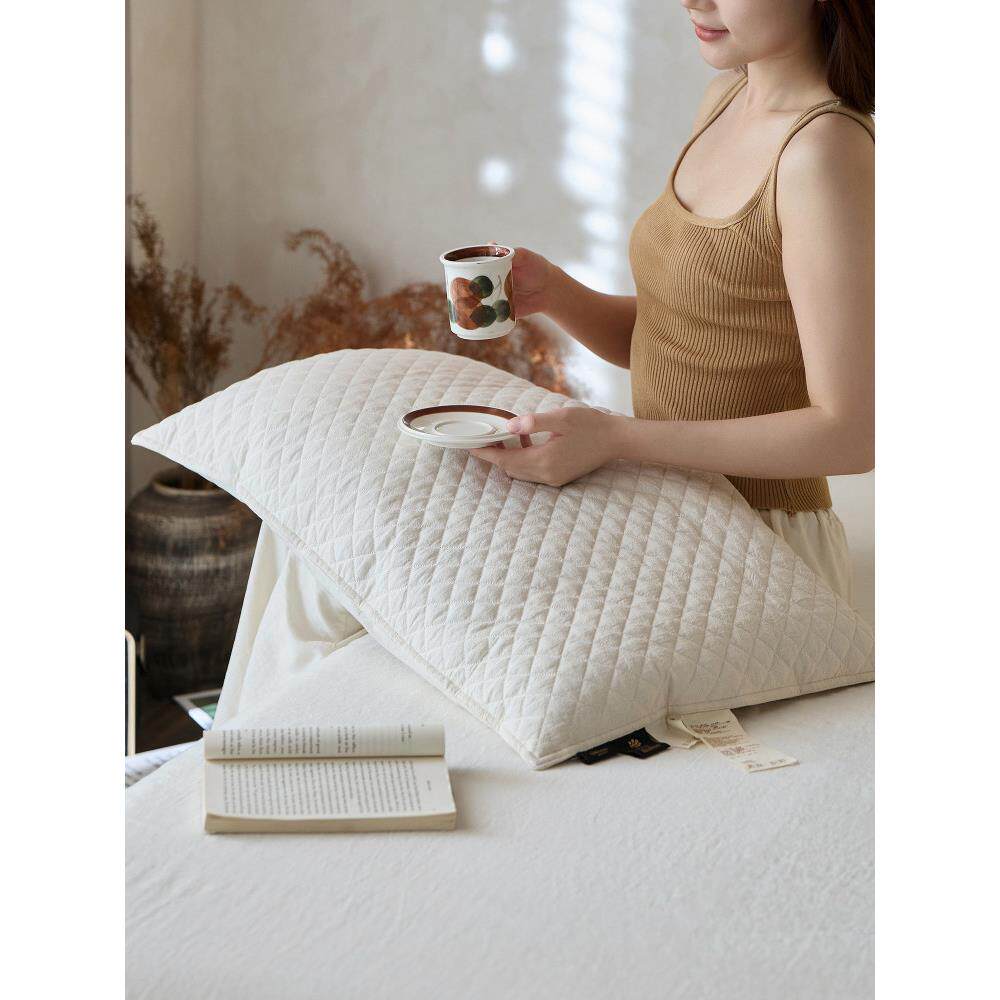 苏玛高山黑荞麦枕休闲棉+亚麻枕芯48*74cm学生宿舍助眠枕芯