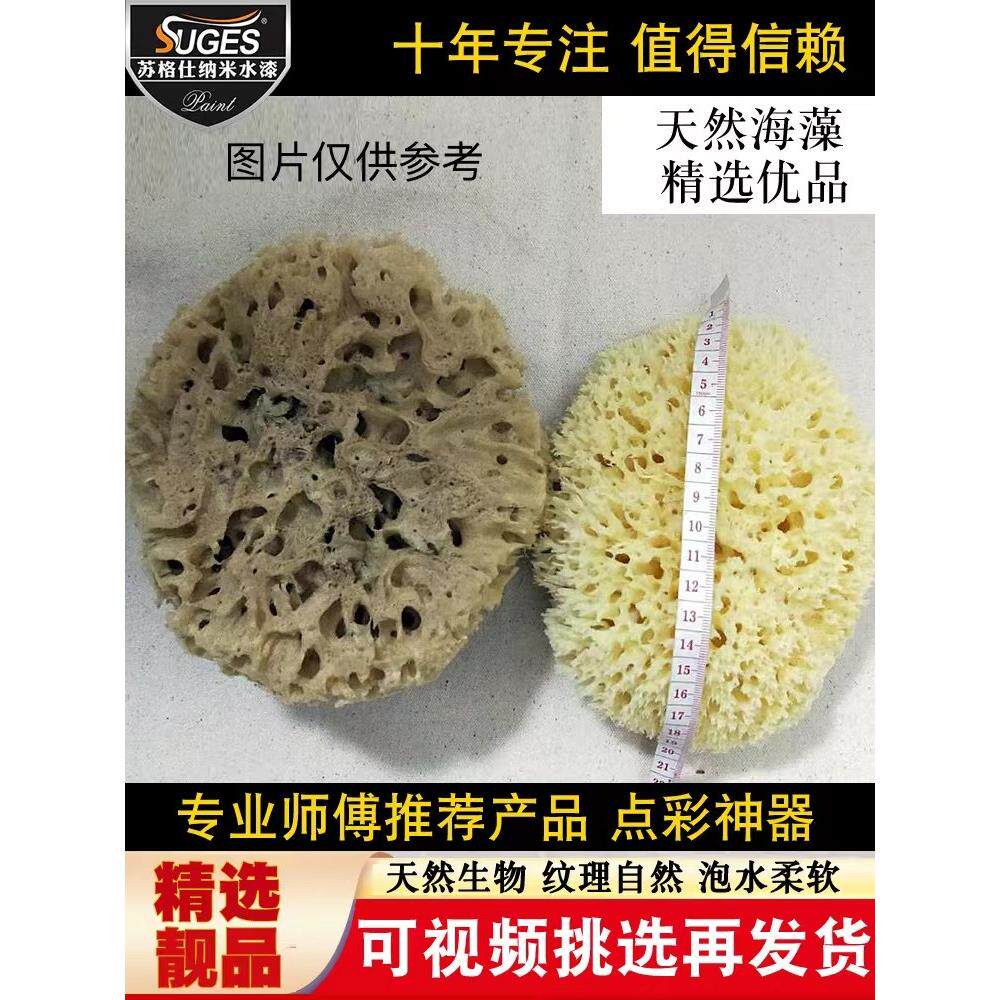 希腊进口天然海藻棉艺术颜料点印刷工具蜂窝状天然海藻棉