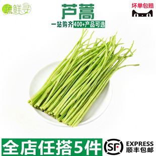 新鲜芦蒿当季蔬菜净菜去叶农家黎蒿篱蒿藜蒿嫩泥蒿蓠蒿漓篙离蒿苔
