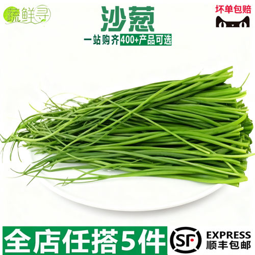 沙葱新鲜蔬菜民勤特产蒙古韭野菜顺丰包邮送货上门火锅食材腌酸菜