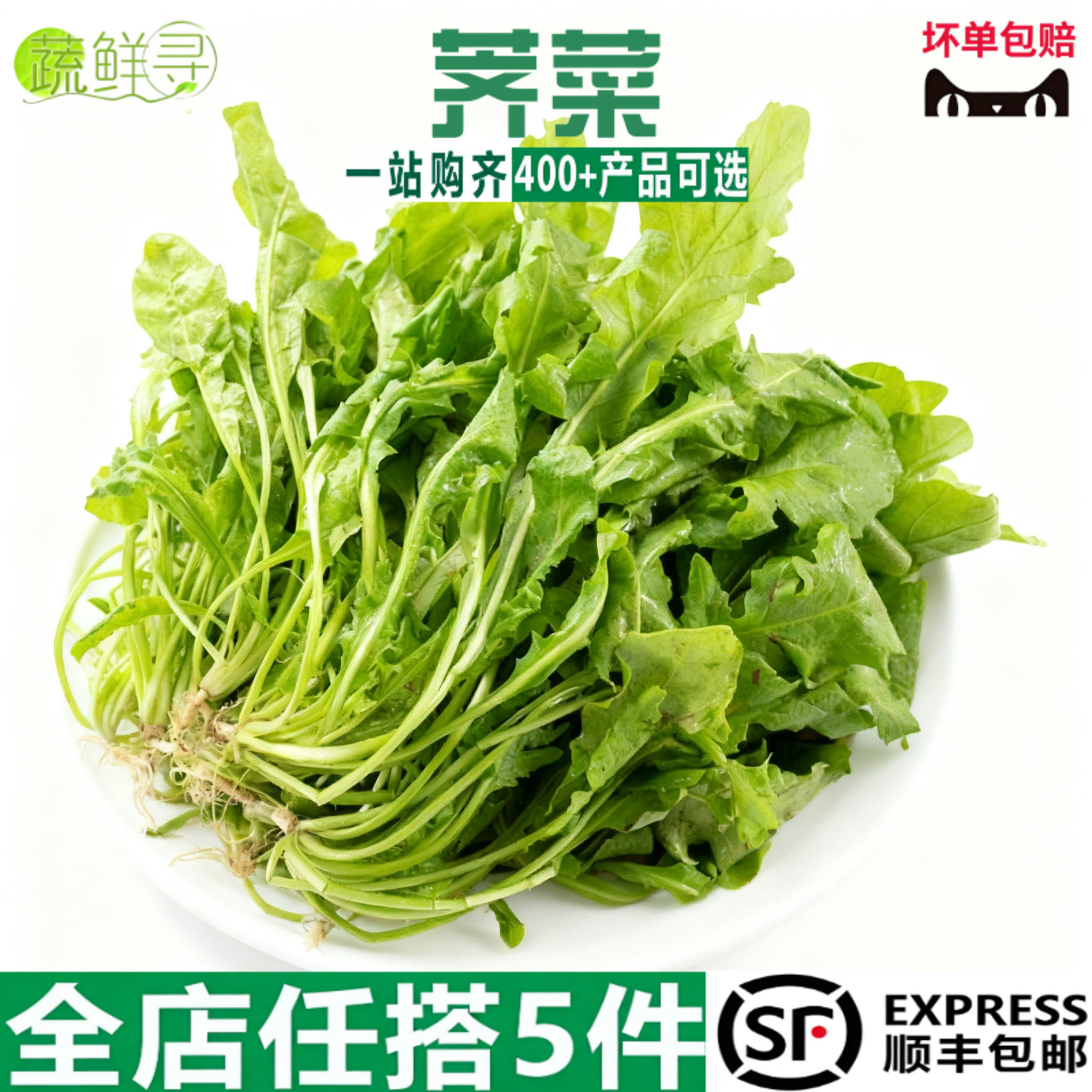 荠菜野菜新鲜包邮大叶荠荠菜野生顺丰现挖现发芥地菜商用农家当季
