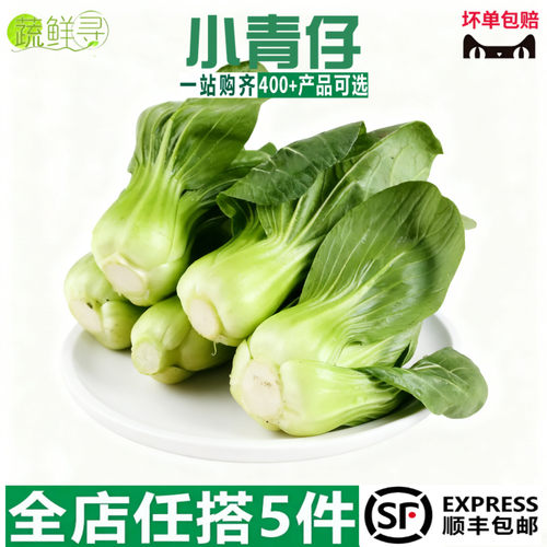 上海青新鲜农家蔬菜小青菜小油菜宁夏矮脚青仔供港青苗软糯清甜