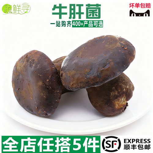 【现货】新鲜黑牛肝菌现摘云南当季食用牛肝菌鲜蘑菇菌鲜菌新鲜