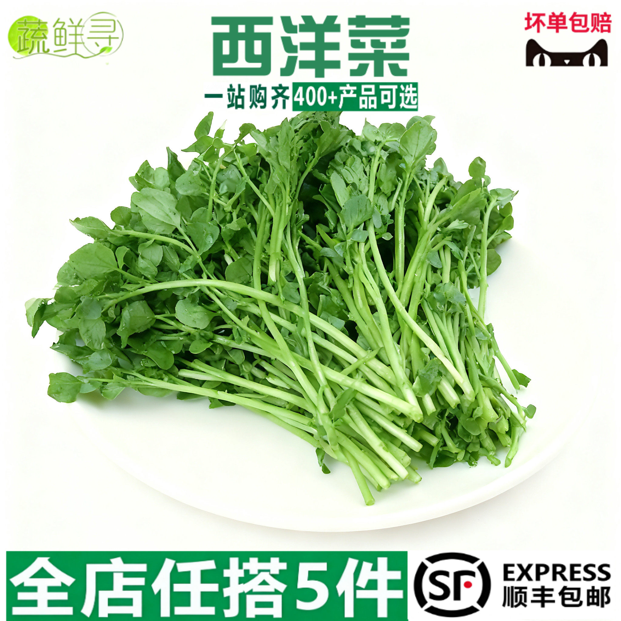 新鲜西洋菜豆瓣菜广东西洋菜现货速发时令蔬菜酒店炒菜火锅涮菜