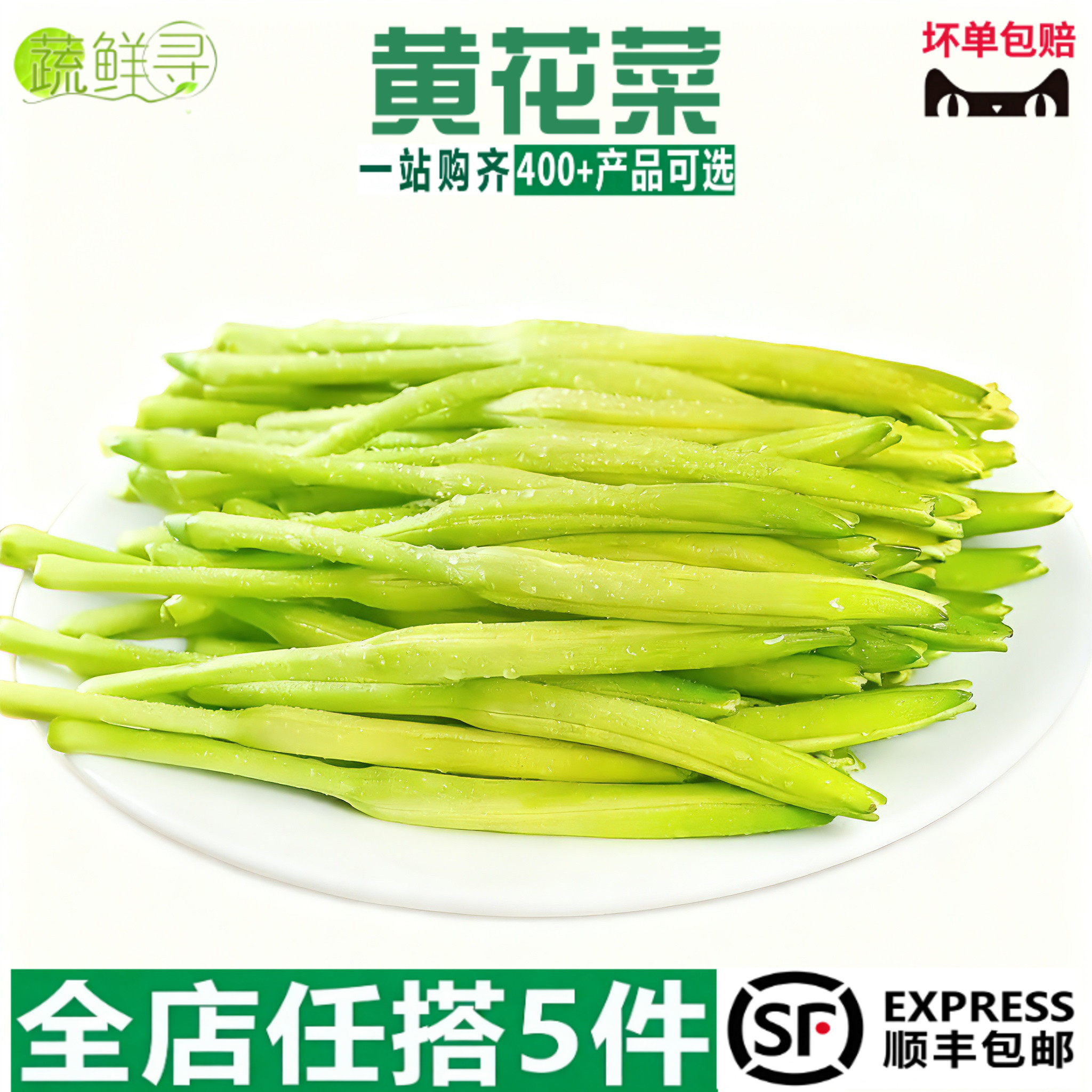 黄花菜新鲜现摘食用金针菜凉拌蔬菜农家忘忧草萱草非干货新鲜蔬菜
