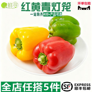 新鲜彩椒五彩灯笼甜椒新鲜生七彩椒生吃水果蔬菜朝天圆椒青椒包邮