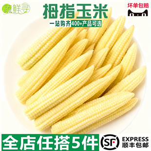 西双版纳拇指小玉米棒婴儿儿童宝宝软香糯云南手指包谷新鲜蔬菜