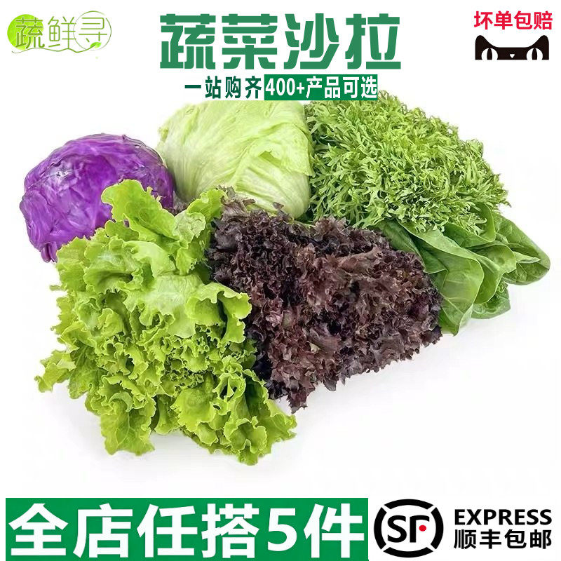 沙拉蔬菜组合4斤 新鲜混合蔬果生菜色拉健身轻食套餐西餐沙拉食材
