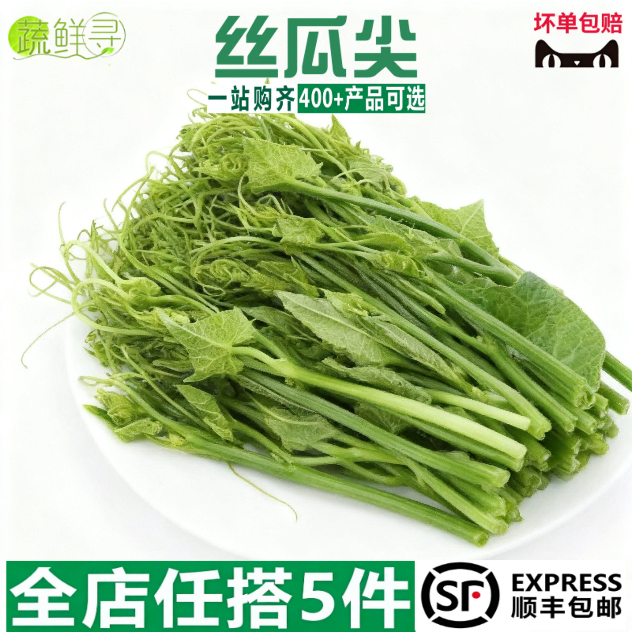 新鲜瓜尖500g 龙须菜 佛手瓜尖 丝瓜尖 应季特菜 新鲜蔬菜