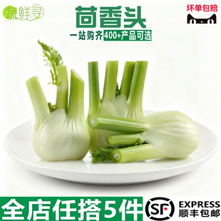 新鲜茴香头顺丰包邮茴香根茴香球茎西餐料理香料现挖新鲜调料
