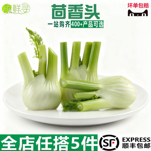 新鲜茴香头顺丰包邮茴香根茴香球茎西餐料理香料现挖新鲜调料