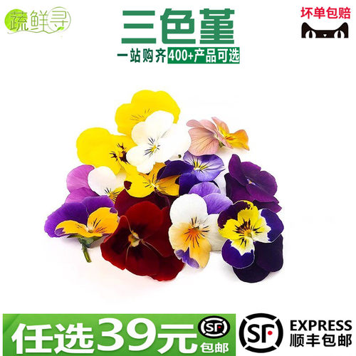 新鲜三色堇可食用鲜花摆盘装饰