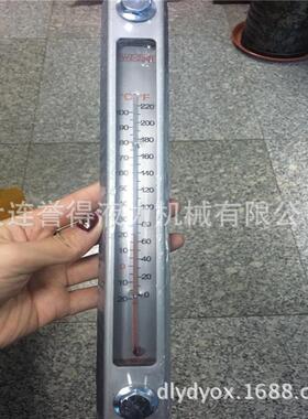调速型液力偶合器配件油表，摆线泵/温度计现货型号