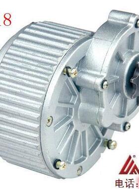 永磁直流有刷减速电机MY1018-450W24V 6v电动自行车车配件