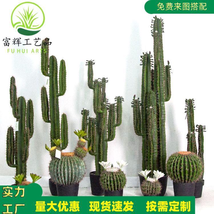 仿真注塑仙人掌仙人球仙人柱盆栽组合造景装饰拍摄道具厂家