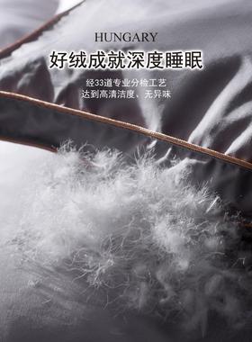 Hilto&Rnes酒orts001店羽绒被95芯白鹅绒春秋冬被子母被二合一