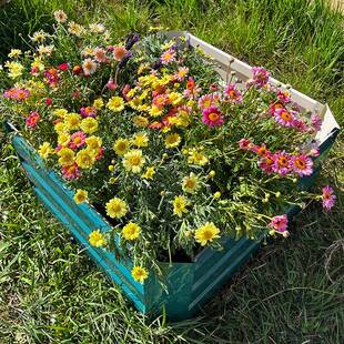 ebay*镀锌种植箱QH-8657912*607钢2cm用于绿化花圃户外育苗0箱Gar