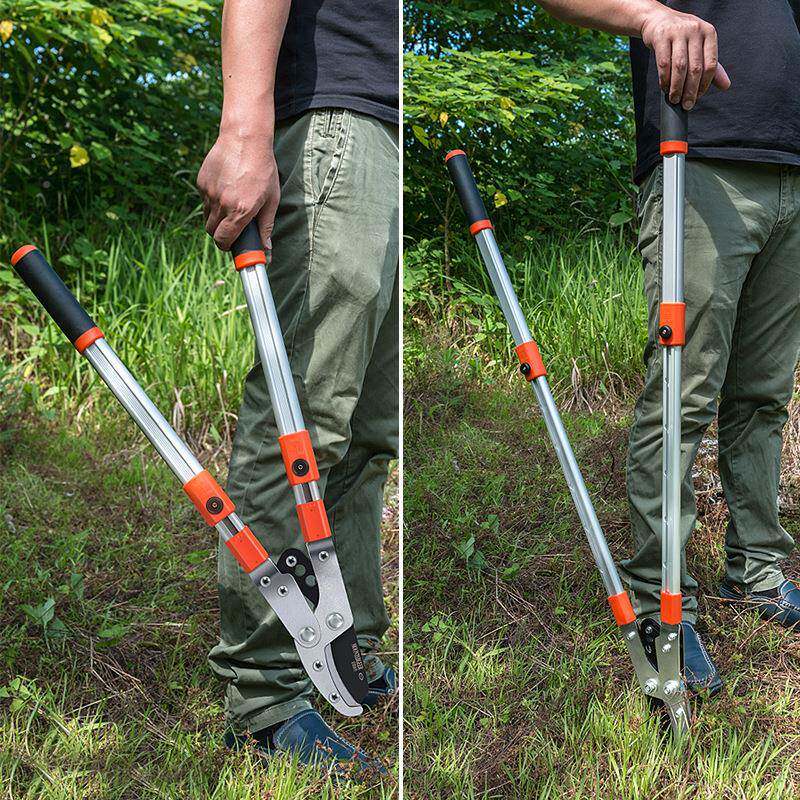 蒙德特树省力有力粗姬枝剪高枝剪枝GVB剪刀果树园艺刀剪伸缩大力