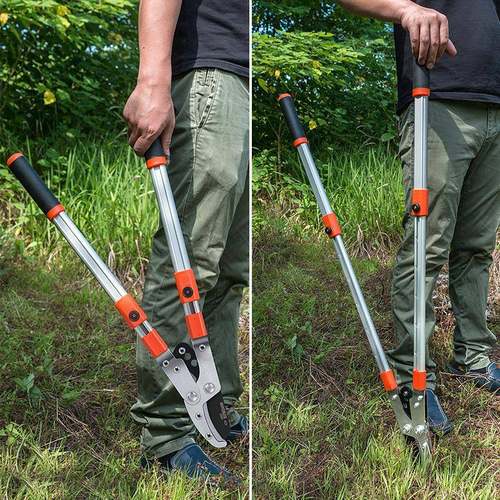 蒙德特树省力有力粗姬枝剪高枝剪枝GVB剪刀果树园艺刀剪伸缩大力