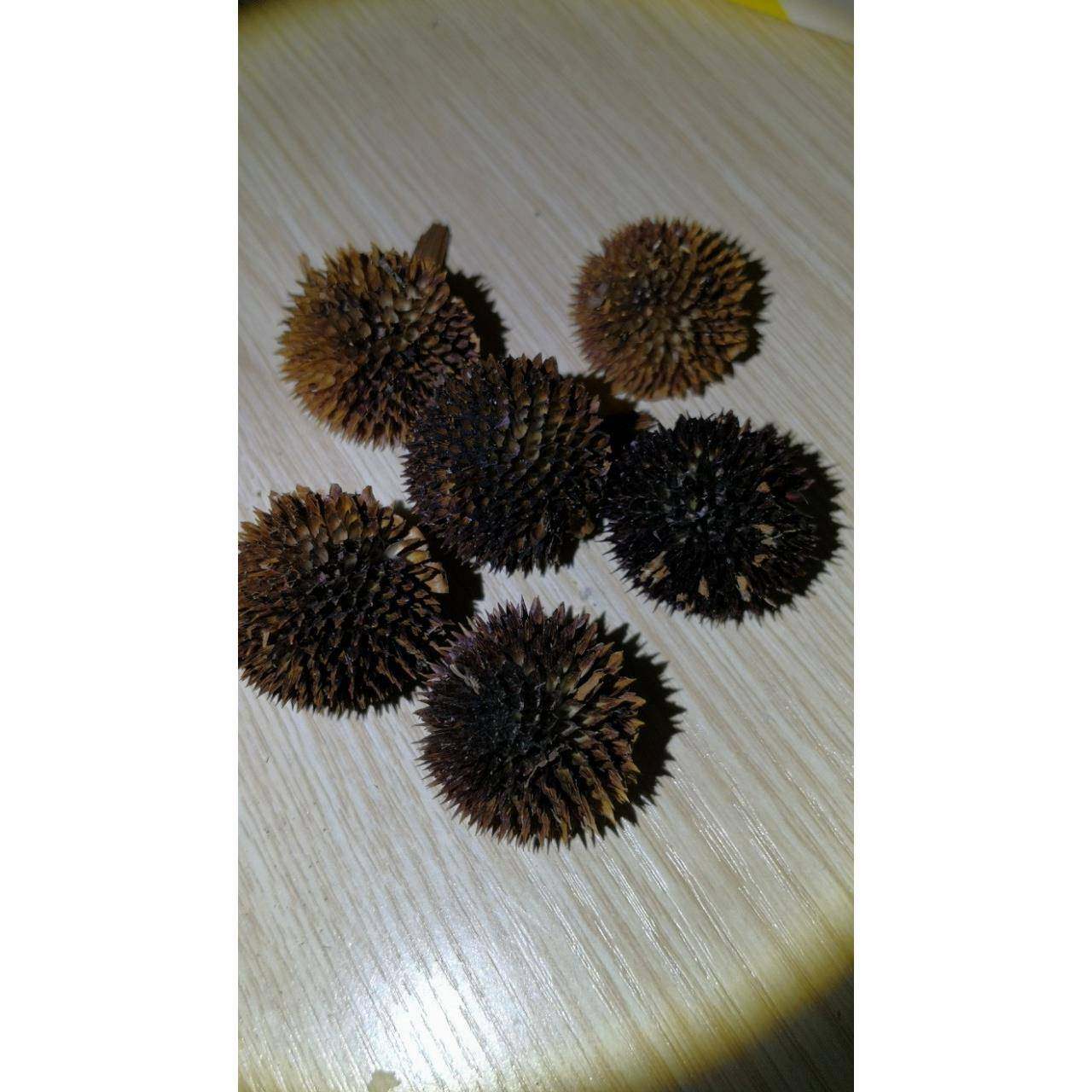 花黑心菊各种手干花工配件花心组合花原材料供心应,鲜花速递/花卉仿真/绿植园艺,干花,淘宝优惠券,粉丝福利购,淘宝优惠卷