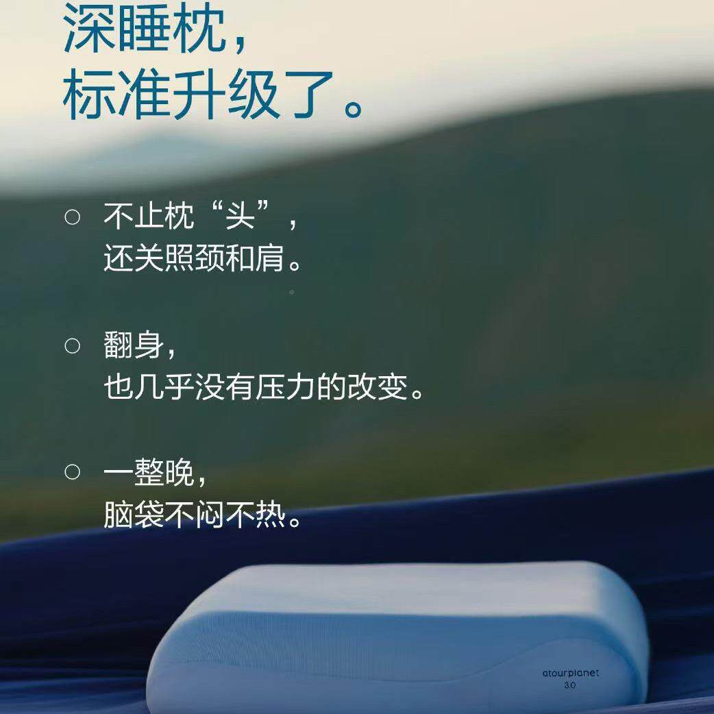 酒同款新款椎第三代深睡枕8255P店RO记忆棉枕人芯成枕头护颈枕朵