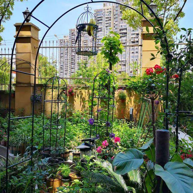 形庭院铁艺葡萄引路架拱门花架薇爬藤蔷架子月架季丝瓜拱花TPL支