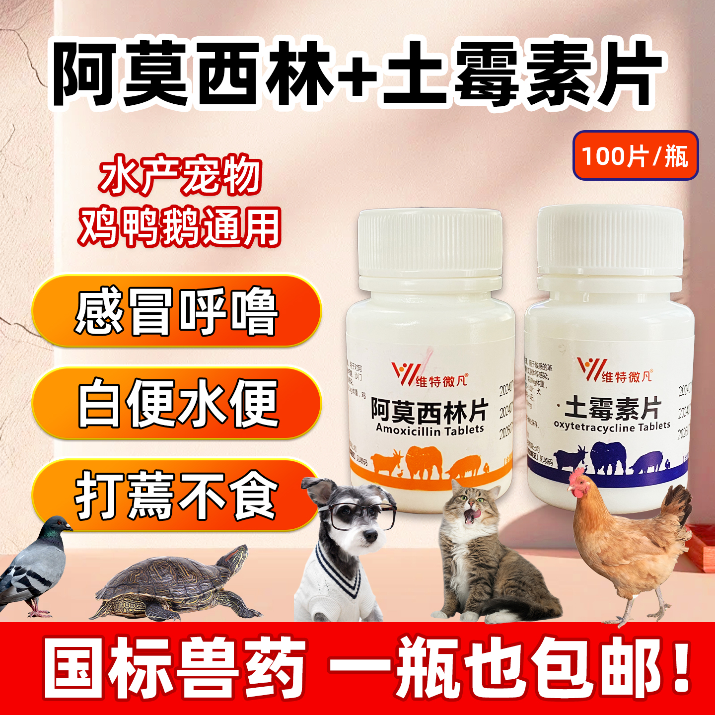 阿莫西林鸡鸭兽用恩诺沙星鸡鸭禽养鸡专用药鹦鹉鸽拉稀感冒药