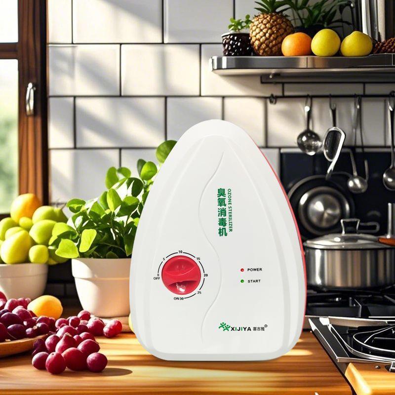 菜家用多功能活臭氧机小型臭氧VZR发生器果蔬臭洗清洗机除消氧毒