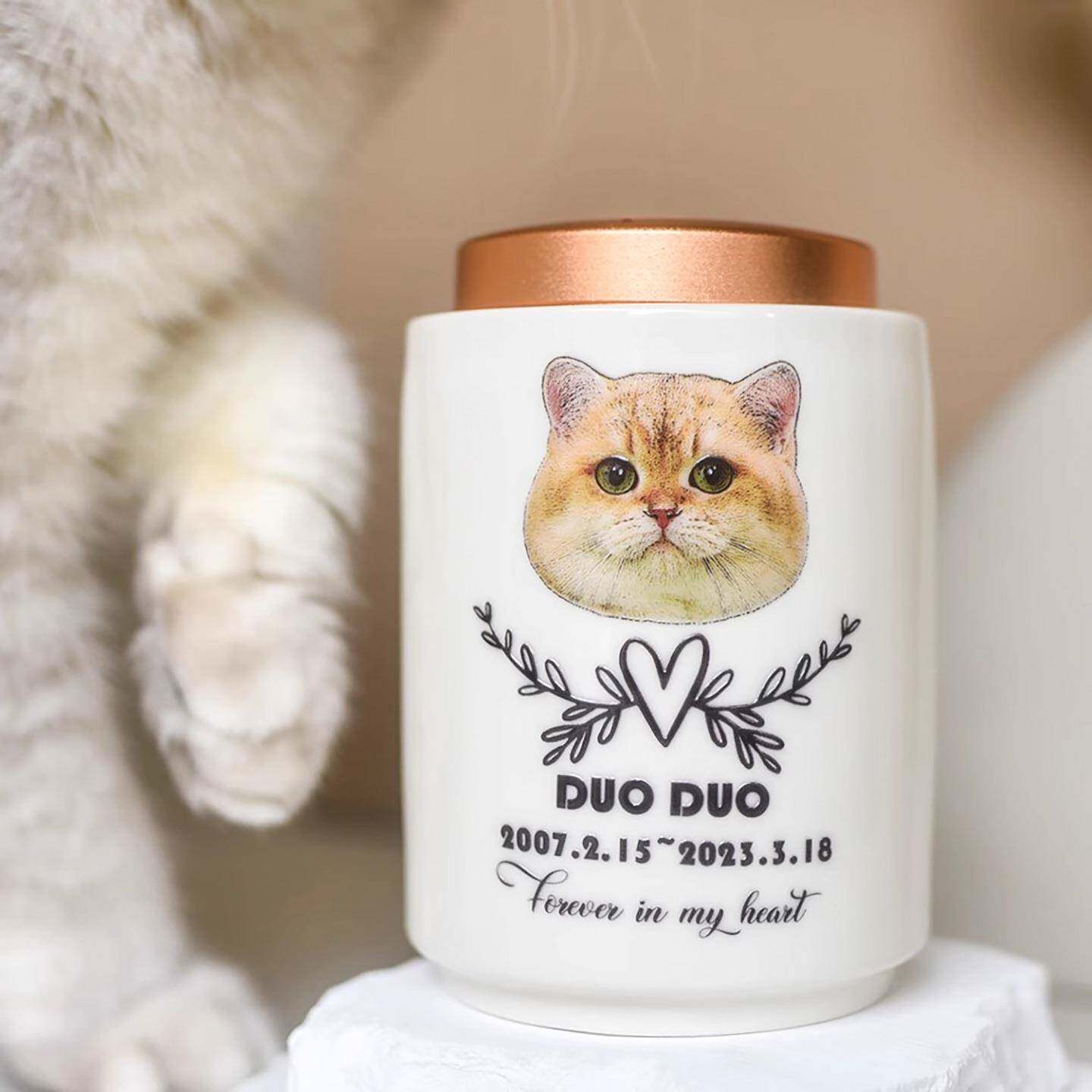 宠物纪念火猫狗化定骨灰盒陶瓷殡罐葬用可品实木照片相框棺840材