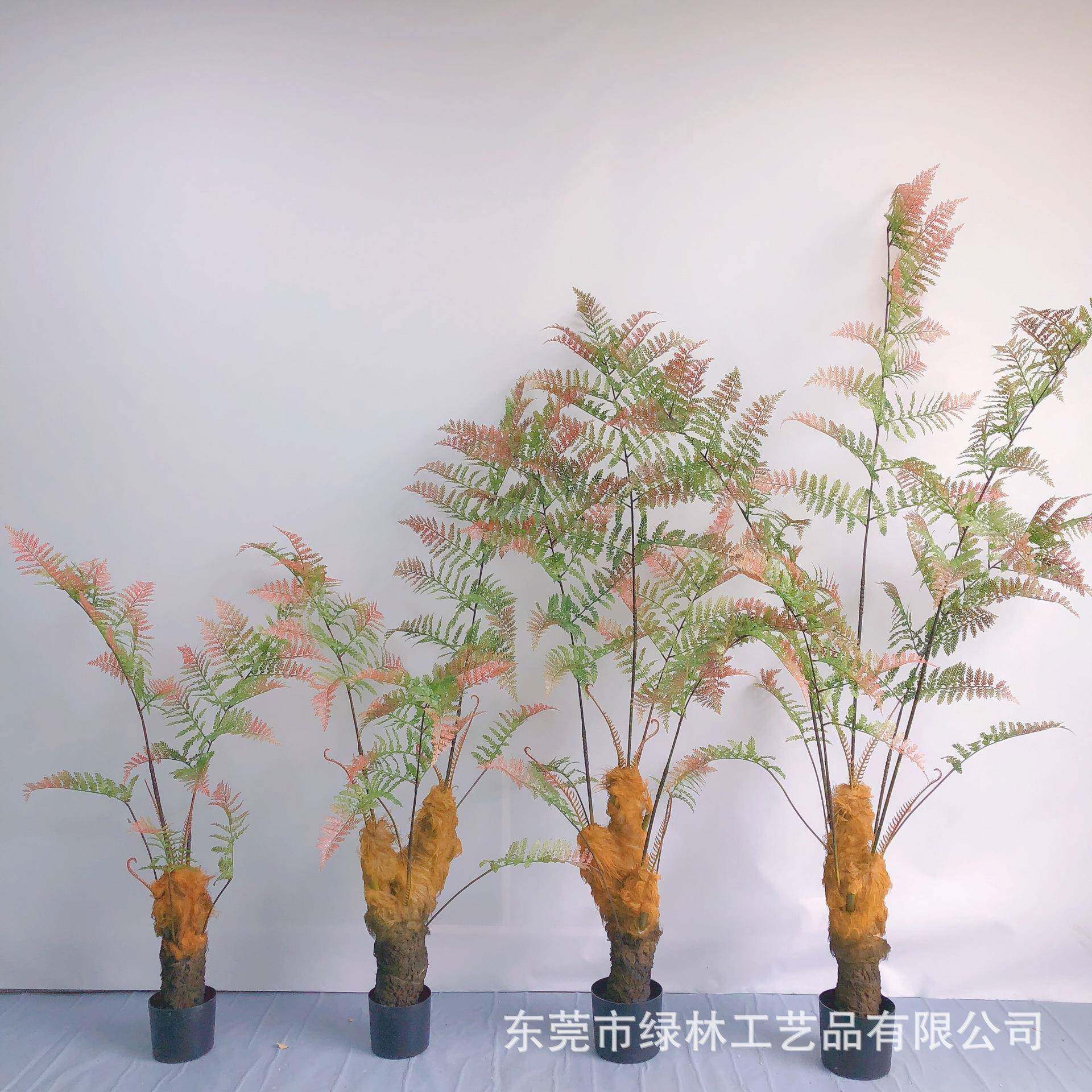 马尾蕨金丝猴景室蕨猴头蕨狗仿真蕨树绿家植居内植物盆栽观LL-51