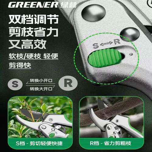 绿林修剪省力剪用嫁接修枝BFS园艺枝剪刀果树树园林花专枝修剪花