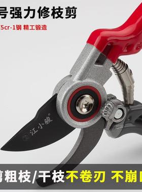 7cr-1省力园艺5剪刀剪树枝修专用剪子果树修剪家用花枝工WHQ剪具