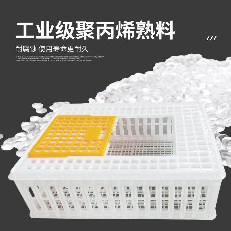 鸡鸪笼运输笼塑料周鸭转箱 装筐鸡框子鹧养殖笼 大型鹅兔鸡鸽XAB