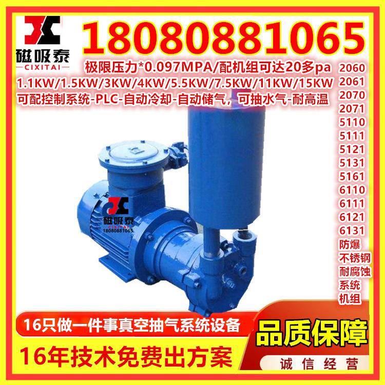 叶PLU轮真空泵2BV5131液环2式真空泵盐城S用K水环铁式真空泵砖厂