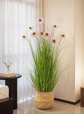 阳花干花客厅电视柜内落地摆设太室造景假服装F99MTM8H店盆栽绿植