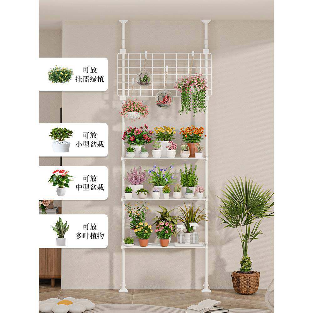 多花架肉置物架阳植12345678台层架顶天立地客厅支撑杆展示架室茂,收纳整理,书桌收纳置物架,淘宝优惠券,粉丝福利购,淘宝优惠卷