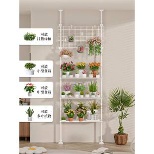 多花架肉置物架阳植12345678台层架顶天立地客厅支撑杆展示架室茂