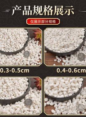 50铺斤装白色石子石36514头大鹅卵石庭院铺路石地小石头造景景白