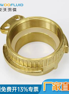 SN45黄铜槽罐车接T954W5列系VK50罐车公接头头德标快速接头固格接