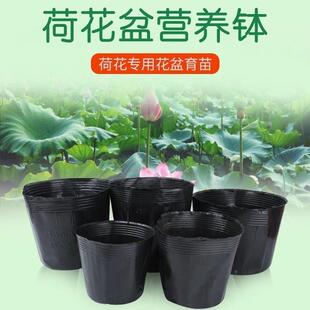 孔营养厚钵加不漏水睡莲荷花莲花盆碗莲无苗盆水生植物咨询客服水