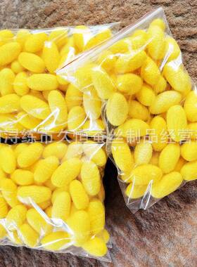 桑茧蚕茧整个XOS上茧烘干削口天然色颜厂家一等原料双宫非茧