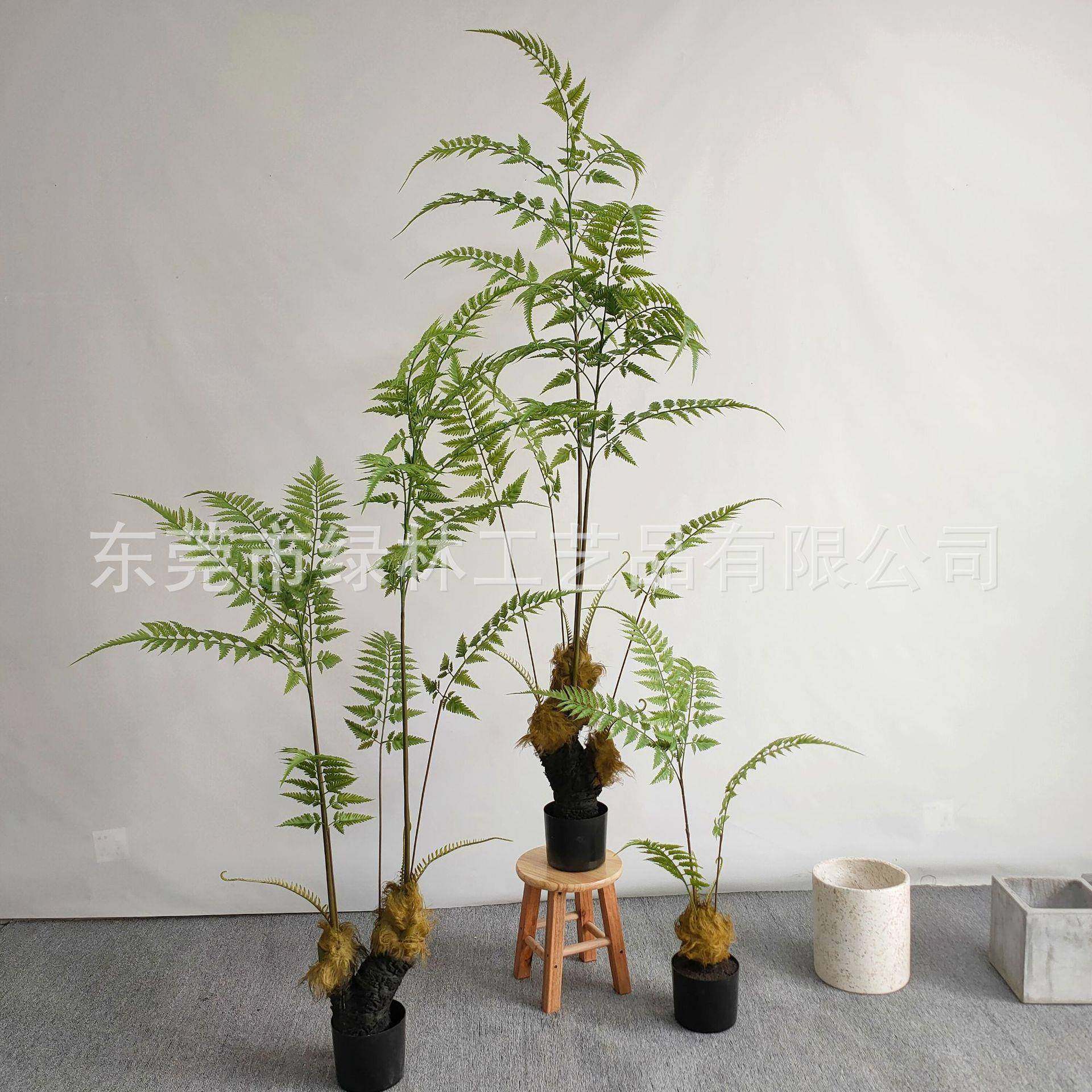 仿真猴头蕨马尾葵盆栽仿真蕨树植家盆居LL-37内室植物栽景绿观装