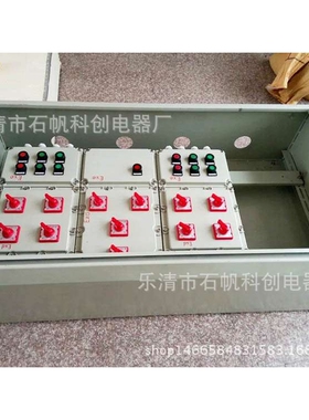 带护罩防爆箱 防爆灌装机控制箱 防爆电位箱 等位箱BF28159-SZF