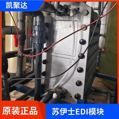 苏伊士MK-3Pharm HTedi模块 威立雅MK-5EDI模块超纯水edi模块设备