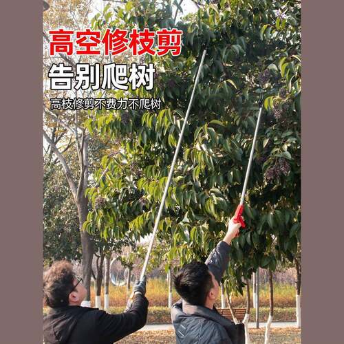 不锈钢高剪枝剪高空修枝ltao7533剪伸缩高空剪长杆果树高枝修枝剪
