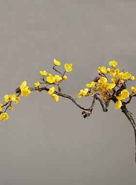放梅枝花花枝客瓶厅黄色腊梅假花禅意陶瓷花陶罐插F959T8M5花摆装
