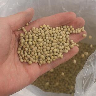 翠长效兰兰花专用便利肥君子蝴蝶兰合便利肥石筠斛蕙兰专用肥复肥